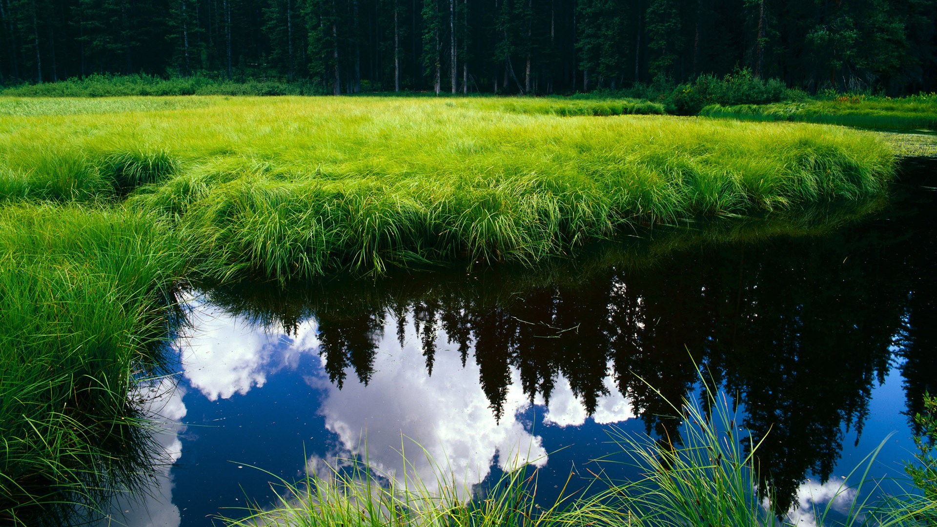 步行者险胜热火，季后赛首轮中哈利伯顿贡献关键助攻，哈利伯顿场均
