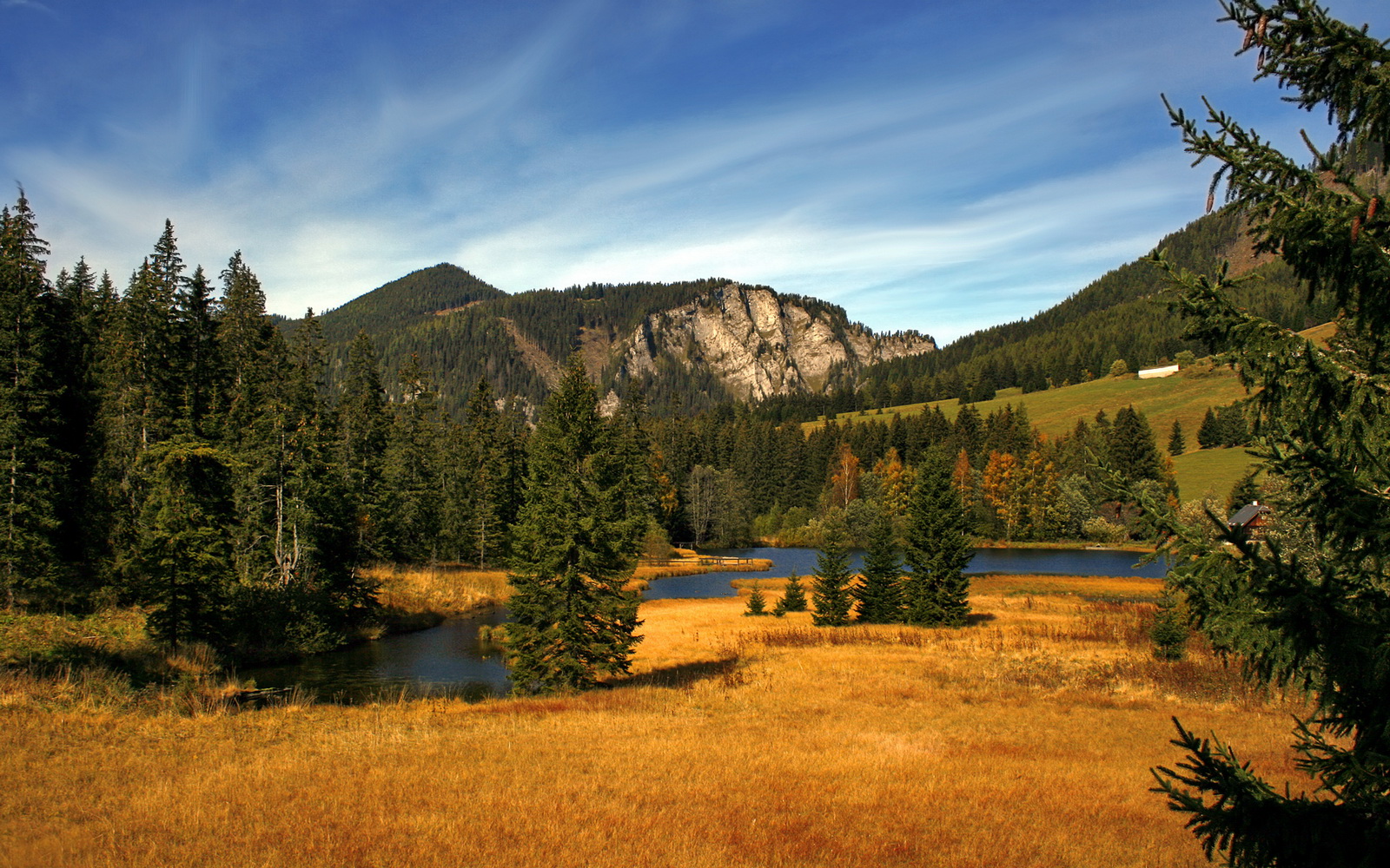 罗马客场击败乌迪内斯，佩雷拉破门制胜，罗马对乌迪内斯比分