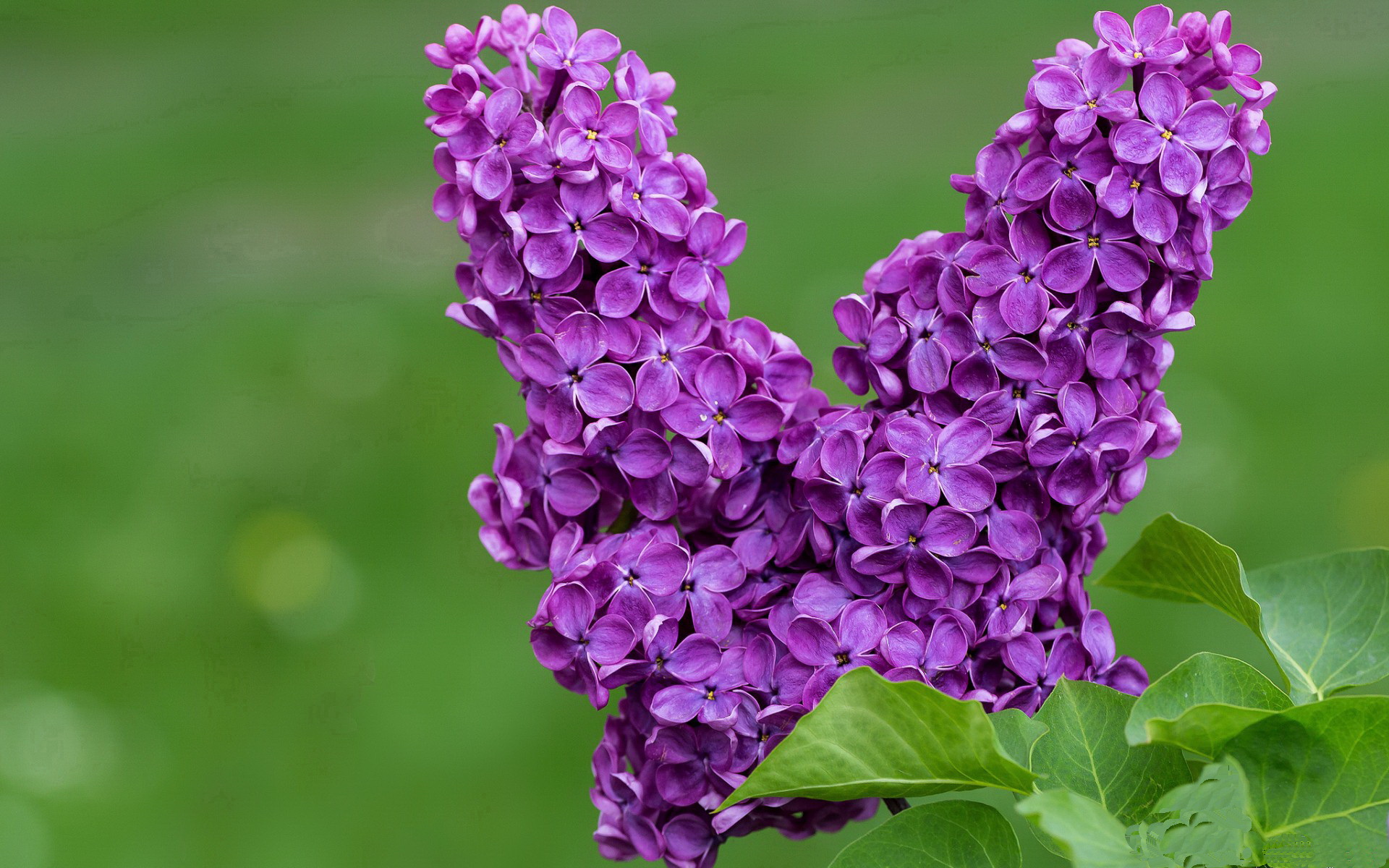 开云下载-中国三人篮球女队提升临场判断力，中国三人篮球女队提升临场判断力的视频