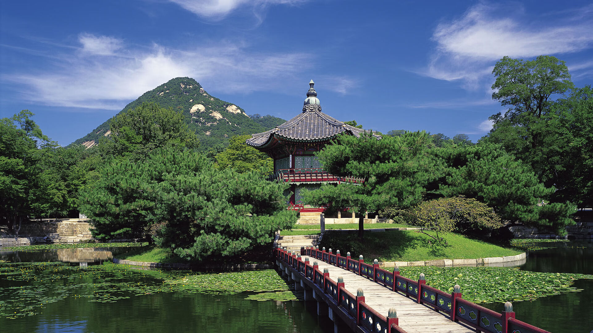 数字化青训体系实现流动管理,提升青少年发展效率,数字化体育训练