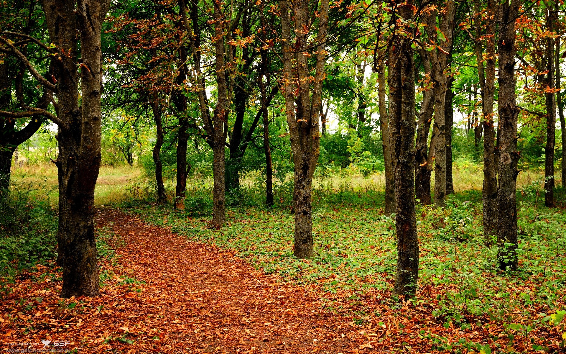 下载开云-阿根廷年轻球员崭露头角，国家队前途光明