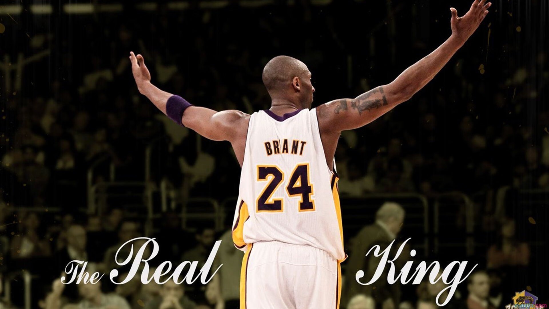 _冬季专属：露天冰雪网球锦标赛别样精彩_，冰上网球